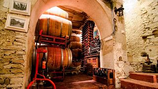 Dégustation et visite des vins du Clos93