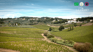  Degustação de vinho Chianti orgânico e almoço tradicional no L'Unico