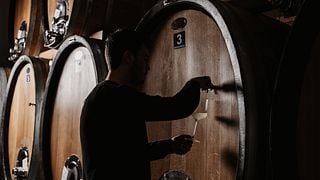 Behind the Wines: Cellar Tour & Tasting Experience