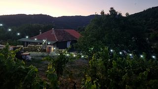 Vinprovning på S&S Winery