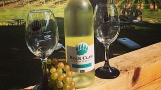 Bear Claw Vineyards & Winery