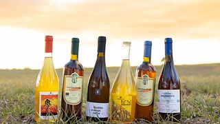 Dégustation de vins artisanaux grecs chez Satyrs « The Cellar »