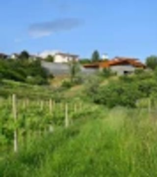 Edi Simčič Wine Estate