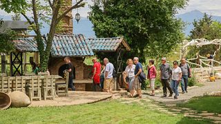 Cépage Saperavi | Dégustation de vins à la cave Shumi