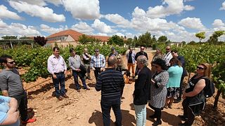 Vinprovning och rundtur på Hacienda Albae