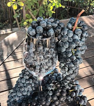 Cata de vinos y visita al Château La Rose Monturon