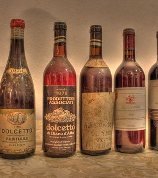 Dégustation de vins et visite chez Cortino Produttori Dianesi