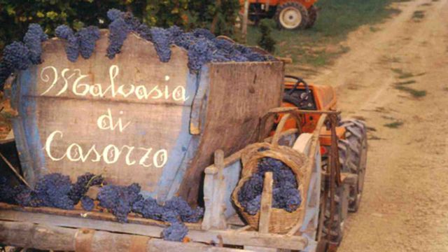 Cantina di Casorzo Winery