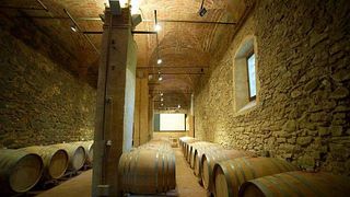 Dégustation de vins et visite à l'Azienda Agricola Poggio Nibbiale