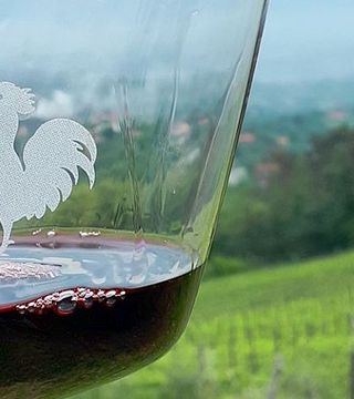 Vinprovning på Poggi del Chianti Monnanni