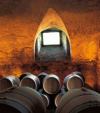 Experiencia de día de cata de vinos en Tenuta Degli Dei