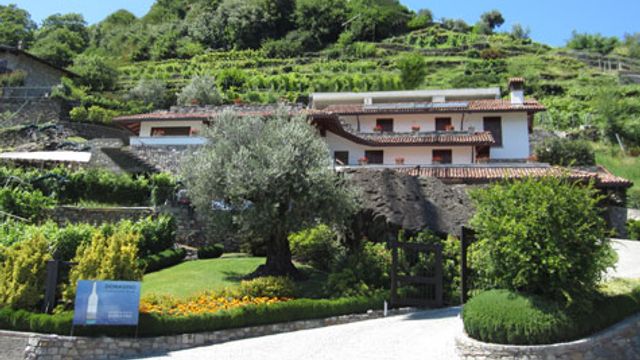 Lake Como Wine & Bike Tour