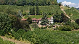 Visita alla cantina e degustazione vini presso Tenuta Tamburnin