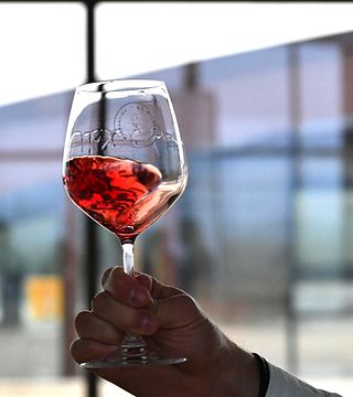 Wine Tasting & Tour in Alto Piemonte at La Piemontina