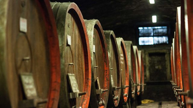 Esperienza nel Chianti Rufina a Villa Travignoli