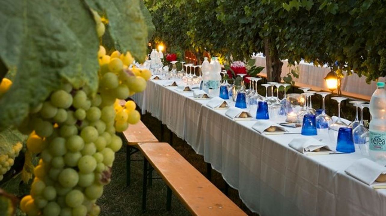 Dîner dans les vignobles du Chianti à Florence