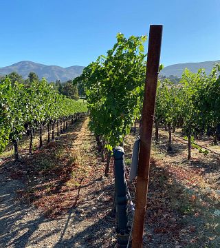 Degustação de vinhos e tour em Avinodos