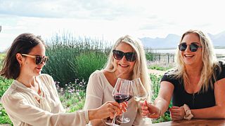 Coastal Gems: Benguela Cove Flagship Wine Journey