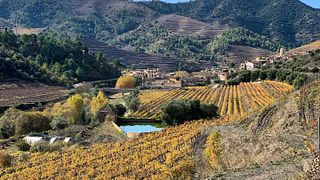 Dégustation de vins et visite à Sangenís I Vaqué
