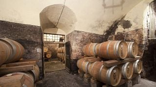 Degustação de vinhos e tour em Santa Sofia