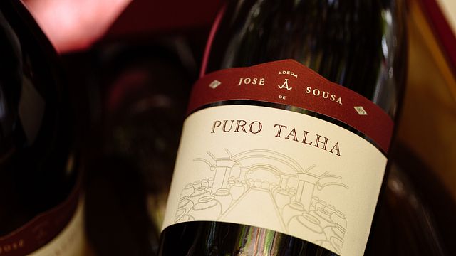 Guidad tur och Talha vinprovning på Adega José De Sousa