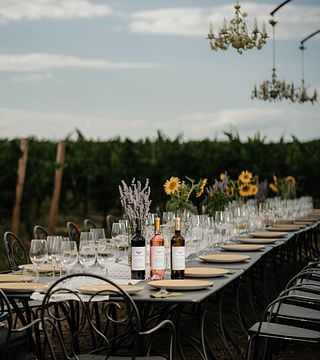 Degustazione di vini e abbinamenti gastronomici nel cuore del vigneto di Strehan Estate
