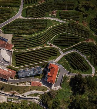 Tour and Tasting of 3 Wines