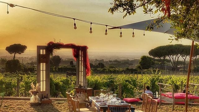 Del atardecer a la copa: cenas en el viñedo y veladas entre viñas