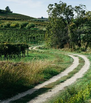 Azienda Agricola Demarie Giovanni di Demarie Aldo