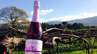 Weinprobe und Tour bei Bodegas Eidosela