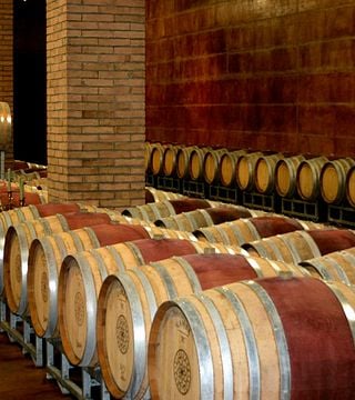 Degustazione di vini presso Tenuta Vitalonga
