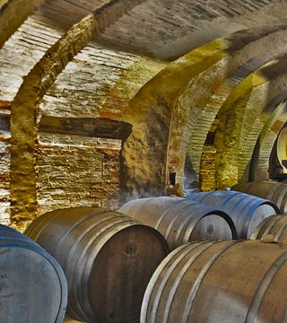 Weinprobe „Giovinezza Mattina“ in der Casa Lucii