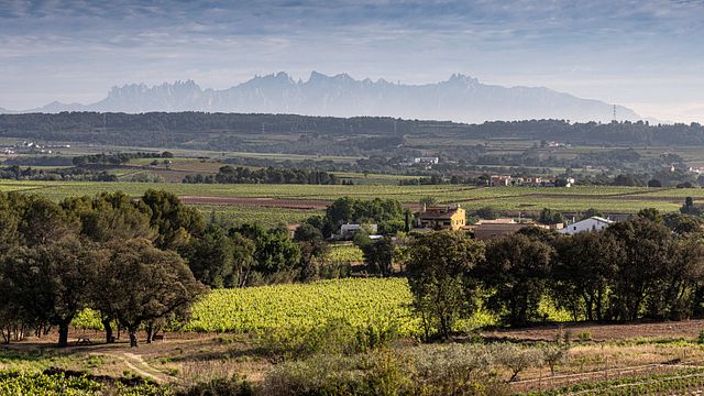 TOUR PRIVATO DI MONTSERRAT E DEL VINO CON PARTENZA DA BARCELLONA
