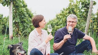 Rheinhessen Wine & Vineyard Journey at Weingut Hauck