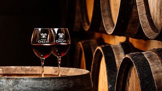 Degustação de vinhos premium no Chateau Chizay