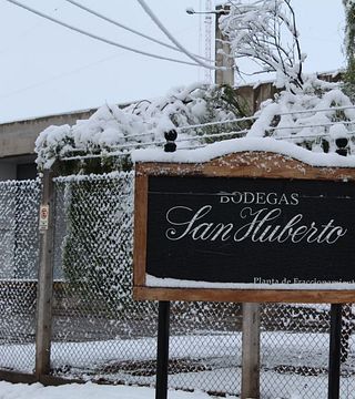 Bodegas San Huberto