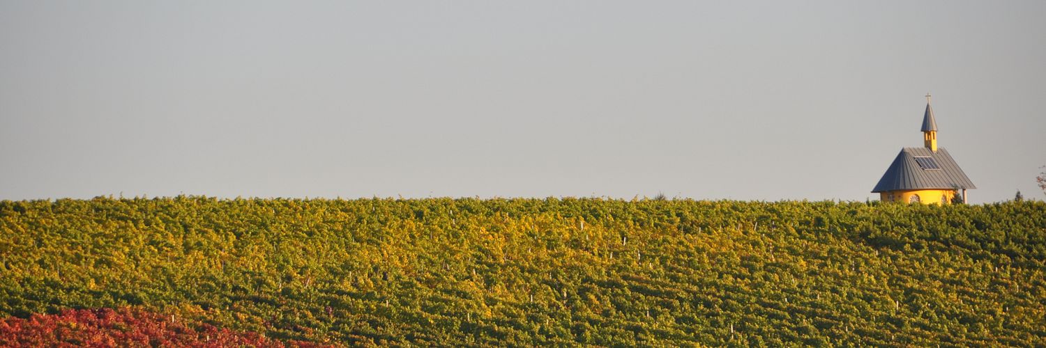 Weingut Schmitt Bergtheim - Kapelle289