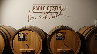 De Garda a Valpolicella: Visita guiada, cata de vinos DOC y DOCG en Paolo Cottini.
