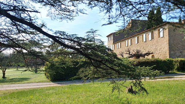 Tour di degustazione di vini e storia allo Château Saint-Pierre De Mejans