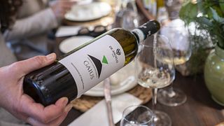 Dégustation de vins et visite du vignoble