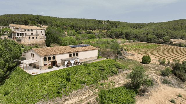 Celler Jovani Vins