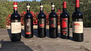 Casaloste Winery