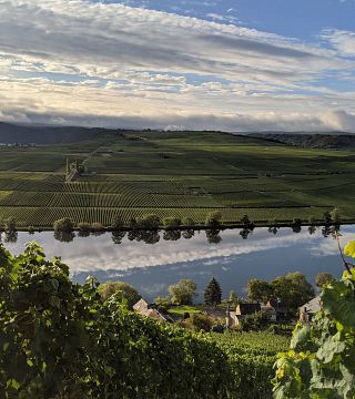 Weingut Lehnert-Veit