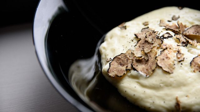 Experiência gastronômica e vinícola: tour de vinhos e almoço ou jantar com 4 pratos de produtos sazonais harmonizados com 7 vinhos.