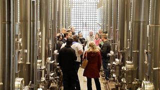 Tour de vinhos de luxo no Vale do Uco - Guia bilíngue privado