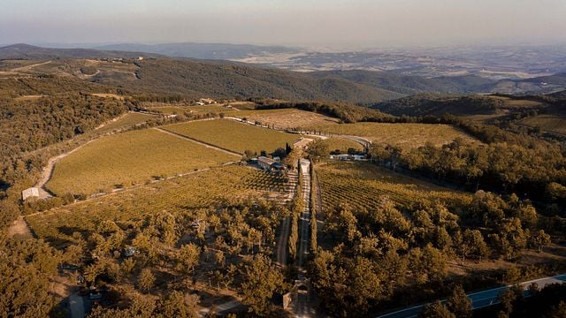 Degustação Vertical de Vinhos