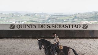 Cata de vinos y concurso de doma clásica
