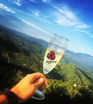 Cata de vinos y visita guiada en Domaine Koquelicot
