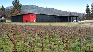 Cata de vinos en la bodega Quady North