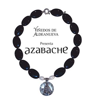 Dégustation de vins et visite des Fincas De Azabache